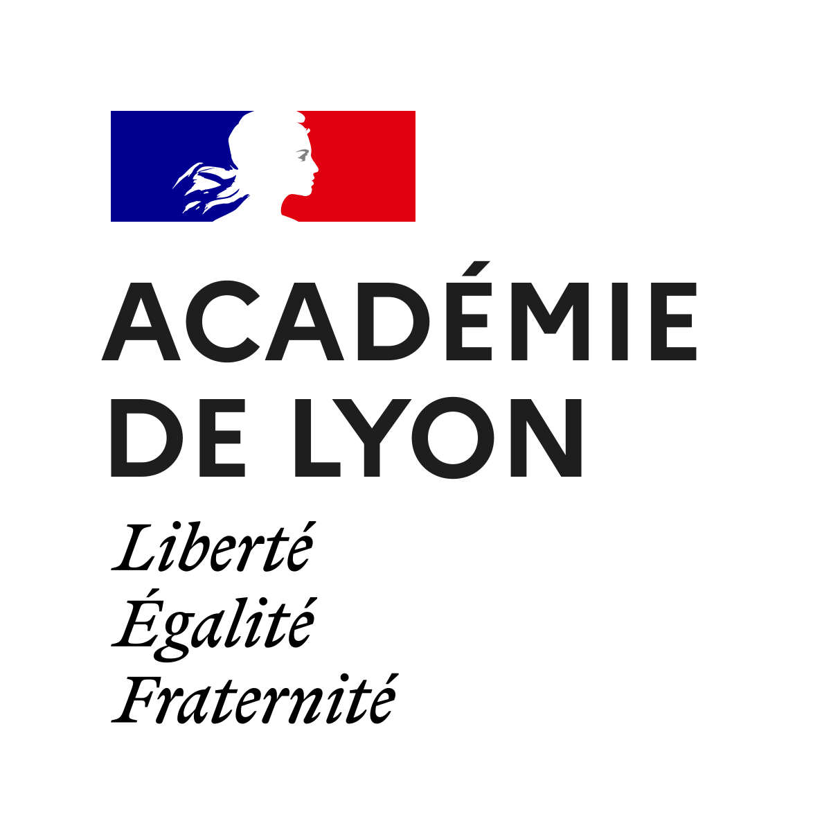 Webinaire : accompagner les demandes de bourses en collège